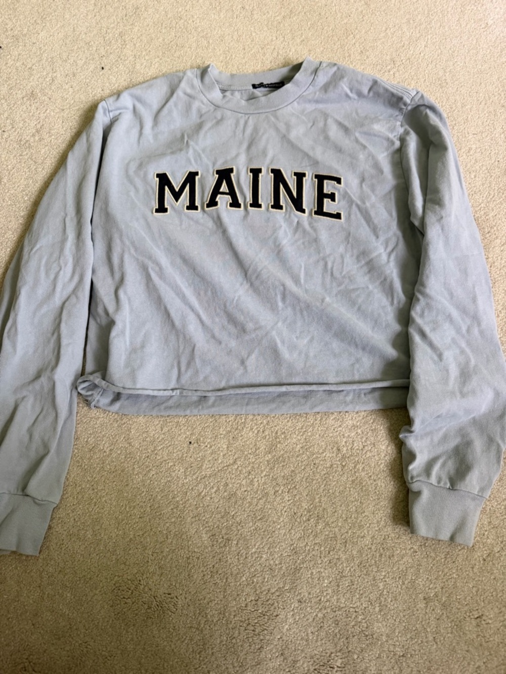 Brandy Melville Pale Blue Crewneck Top